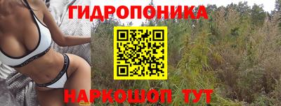 apvp Бузулук