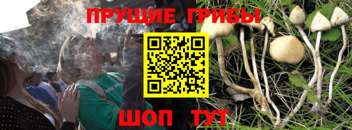 Псилоцибиновые грибы мицелий  Вход с VPN  Калининград 